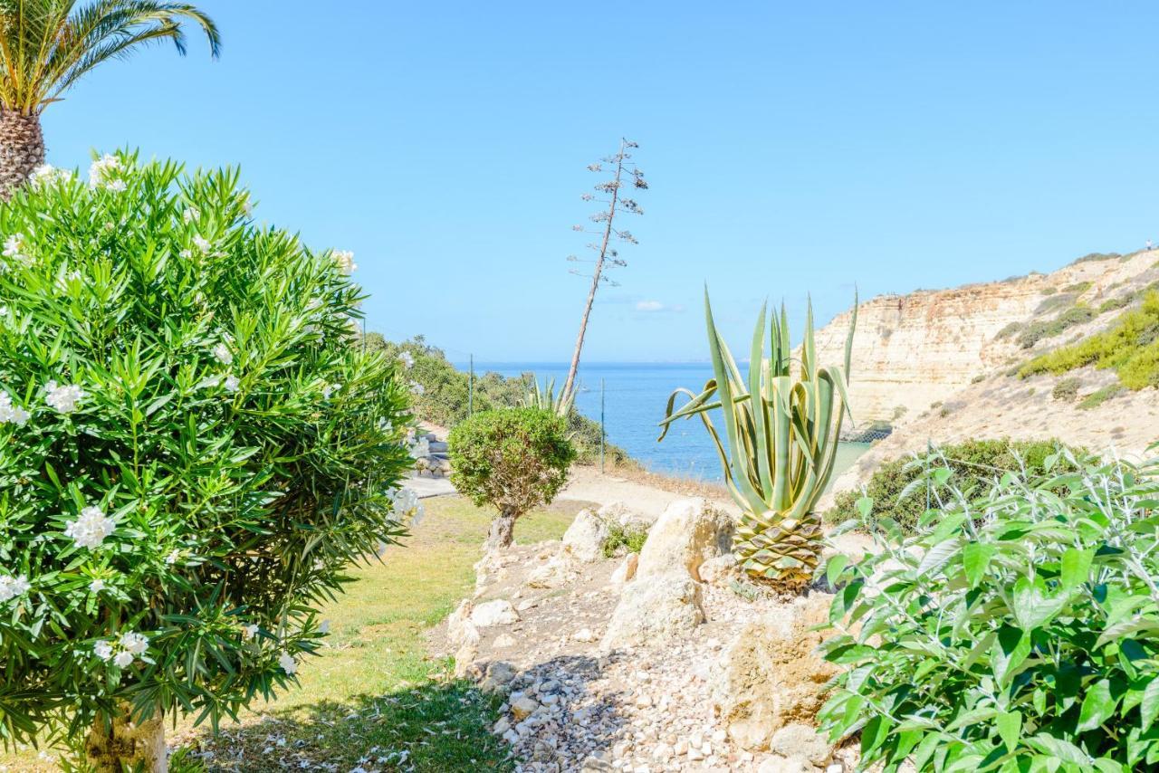 The Little Paradise With Sea Views Carvoeiro  Luaran gambar